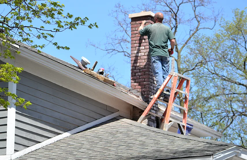 Chimney & Fireplace Inspections Services in Lisle, IL